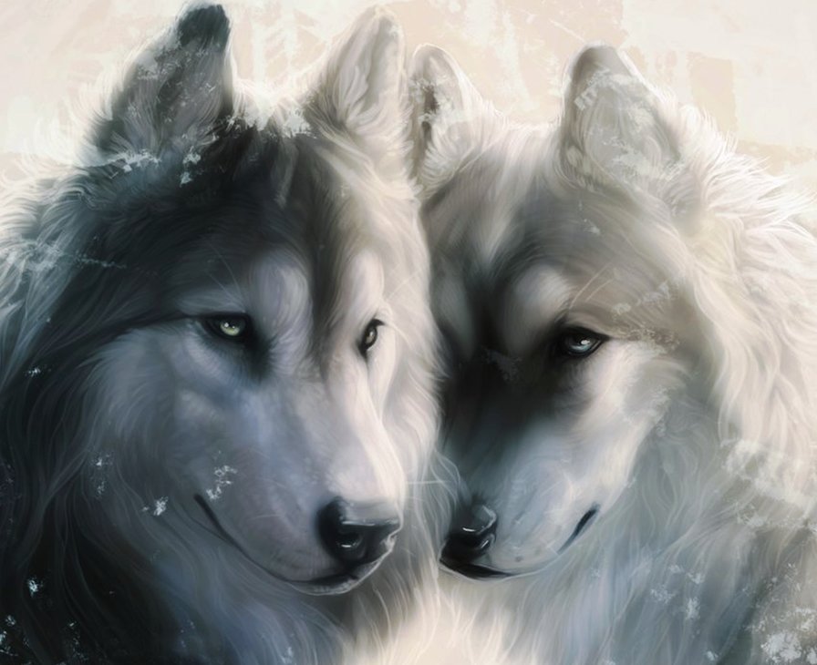 Очень красивые картинки волка и волчицы - подборка изображений 10