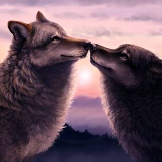 Очень красивые картинки волка и волчицы - подборка изображений 11