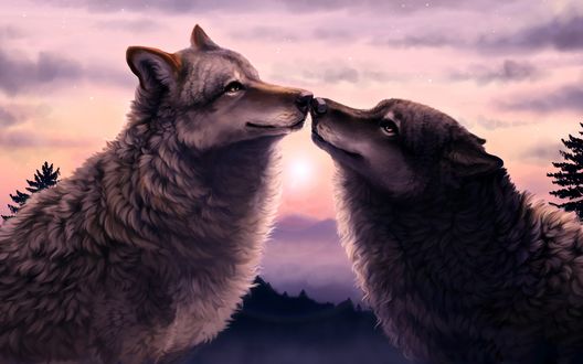 Очень красивые картинки волка и волчицы - подборка изображений 11