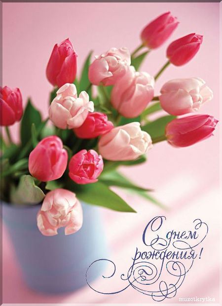 Открытки днем рождения женщине тюльпанами. Открытки цветочных фей. Открытки с тюльпанами