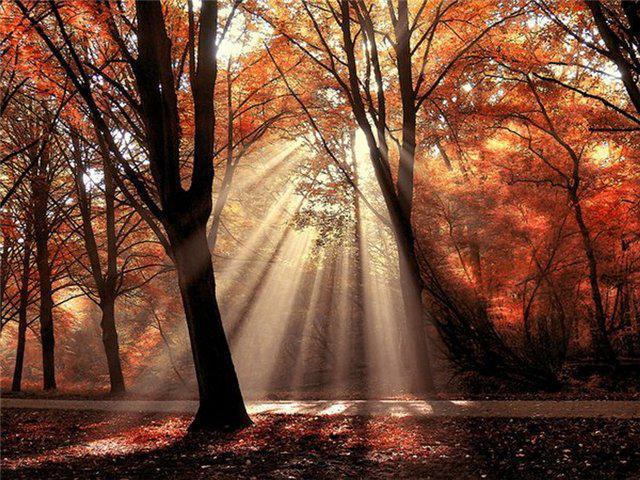 Осеннее утро, утро осенью - красивые и невероятные картинки 15