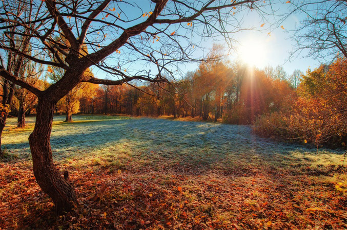 Осеннее утро, утро осенью - красивые и невероятные картинки 7