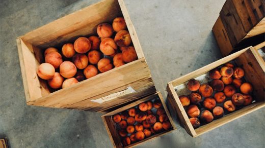 Россельхознадзор ограничит ввоз персиков и абрикосов из Сербии и Македонии - новости 1