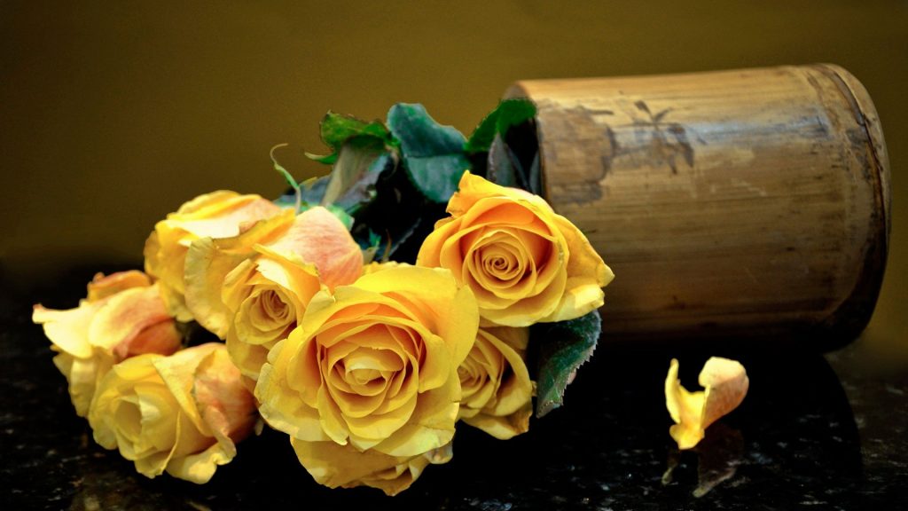 Удивительные картинки на рабочий стол Желтые розы - подборка 6