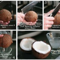 Как открыть кокос в домашних условиях - простые способы и методы 1