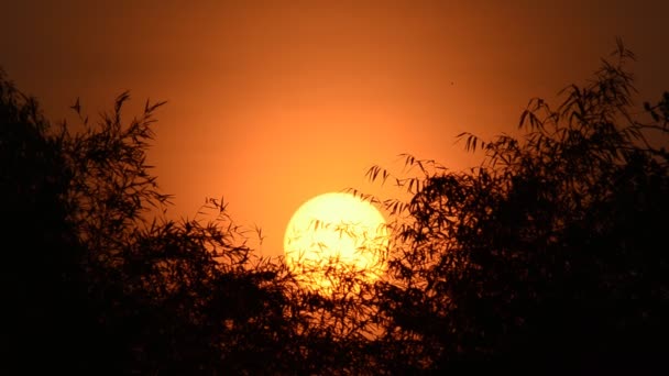 Красивые и удивительные картинки, фото Восход Солнца - подборка 12