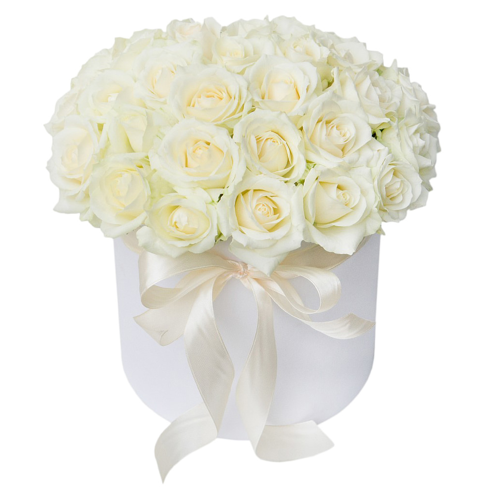 Красивые картинки цветов белые розы, удивительные букеты 13