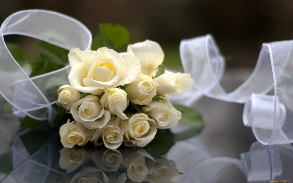 Красивые картинки цветов белые розы, удивительные букеты 4