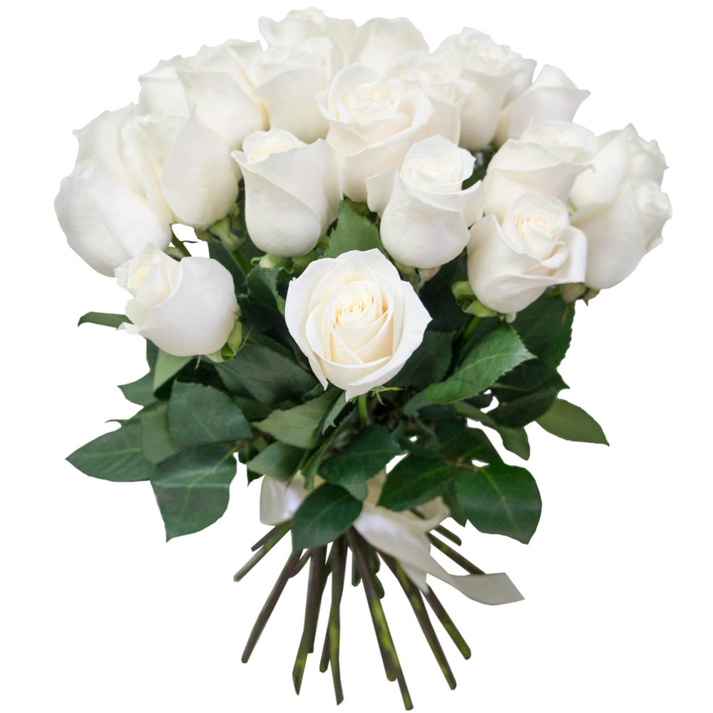 Красивые картинки цветов белые розы, удивительные букеты 9