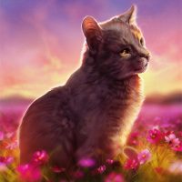 Необычные и красивые картинки Коты Воители - подборка 20 штук 19