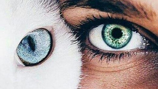 Удивительные картинки глаза девушек на аву и аватарку - подборка 14