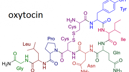 Окситоцин гормон доверия и нежной привязанности 1