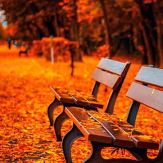 Красивые и удивительные картинки осень в парке - подборка фото 15