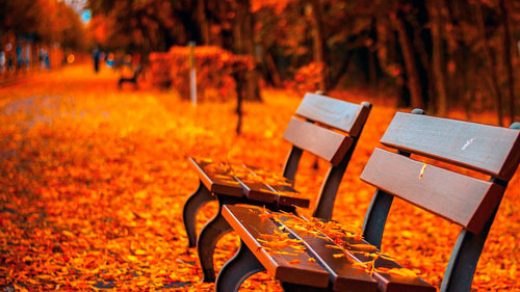 Красивые и удивительные картинки осень в парке - подборка фото 15