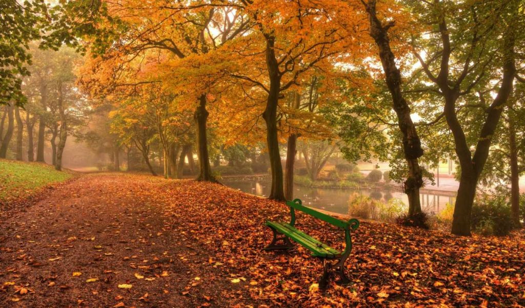 Красивые и удивительные картинки осень в парке - подборка фото 4