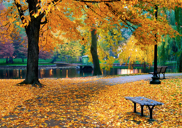 Красивые и удивительные картинки осень в парке - подборка фото 6