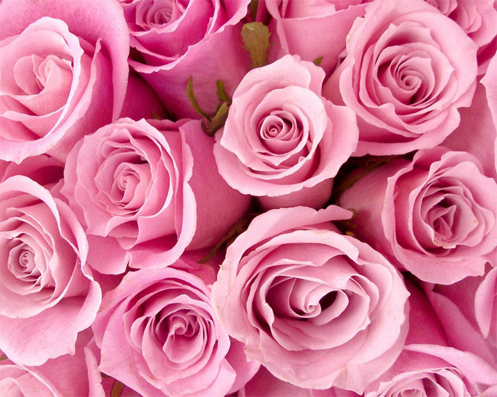 Красивые розовые картинки на заставку и обои - подборка 1