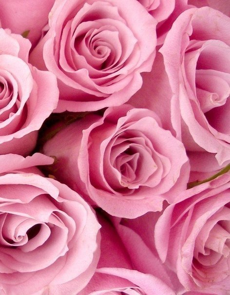 Красивые розовые картинки на заставку и обои - подборка 5
