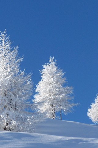 Обои и картинки про зиму на заставку телефона - самые красивые 11