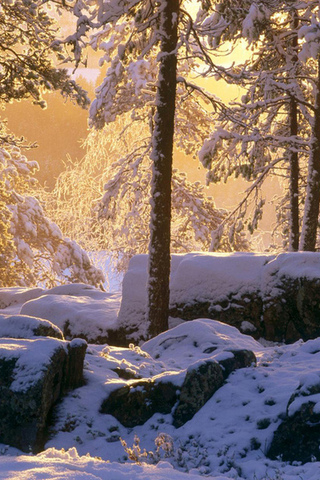 Обои и картинки про зиму на заставку телефона - самые красивые 16
