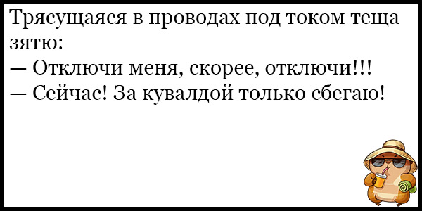 Анекдот про тещу и зятя на кухне