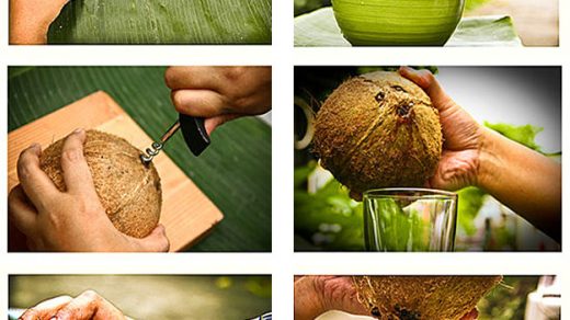 Как легко открыть кокос дома Инструкция, чтобы открыть кокос 1