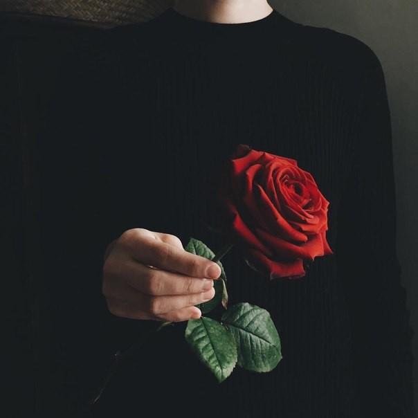 Картинки и фотки на аву розы красивые - подборка аватарок 3