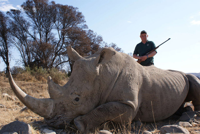 Красивые и прикольные картинки белого носорога - подборка 12