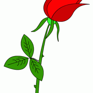 Красивые картинки и рисунки розы для детей - прикольная подборка 5