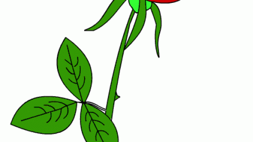 Красивые картинки и рисунки розы для детей - прикольная подборка 5