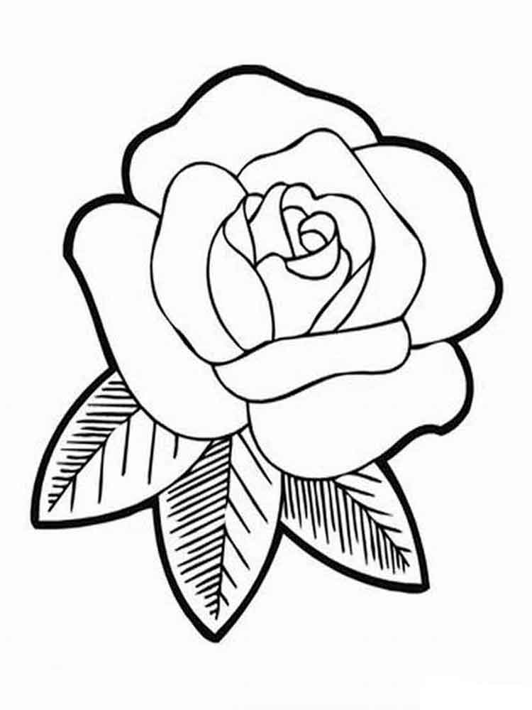 Красивые картинки и рисунки розы для детей - прикольная подборка 9