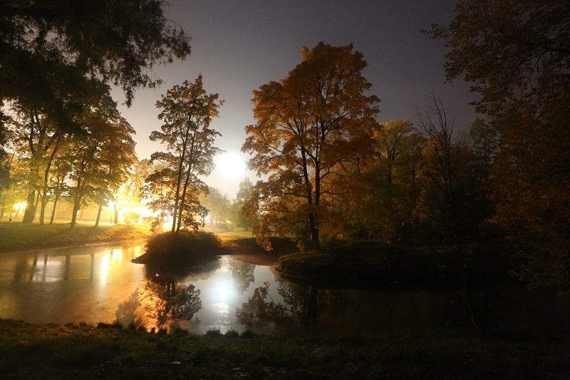 Осенняя ночь картинки и фотографии - очень красивые 11