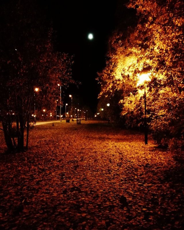 Осенняя ночь картинки и фотографии - очень красивые 2