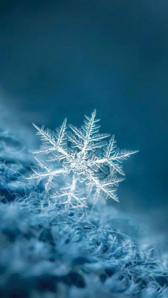 Удивительные картинки на заставку телефона Зима - подборка 5