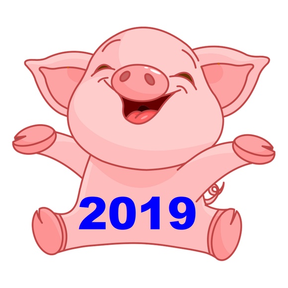 Интересные и прикольные картинки, фото свиньи на Новый год 2019 8