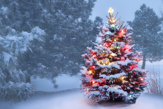 Картинки про новый год и зиму - самые удивительные и красивые 14
