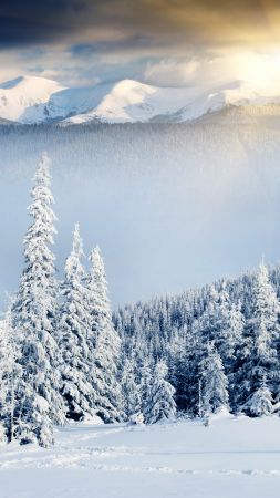 Красивые и красочные картинки зимы на телефон на заставку 1