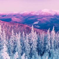 Красивые и красочные картинки зимы на телефон на заставку 12