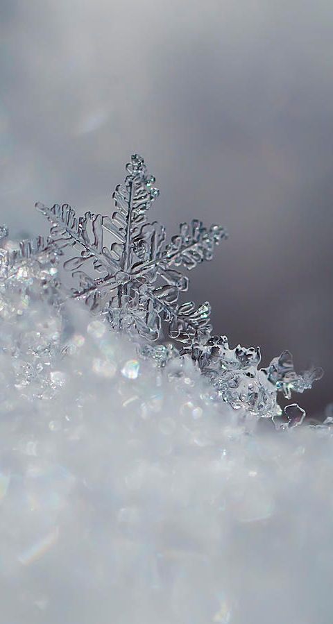 Красивые и красочные картинки зимы на телефон на заставку 13