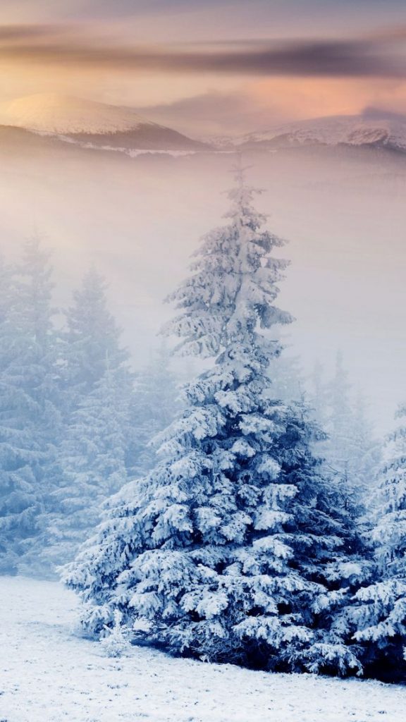 Красивые и красочные картинки зимы на телефон на заставку 4