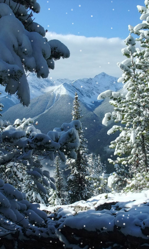 Красивые и красочные картинки зимы на телефон на заставку 8