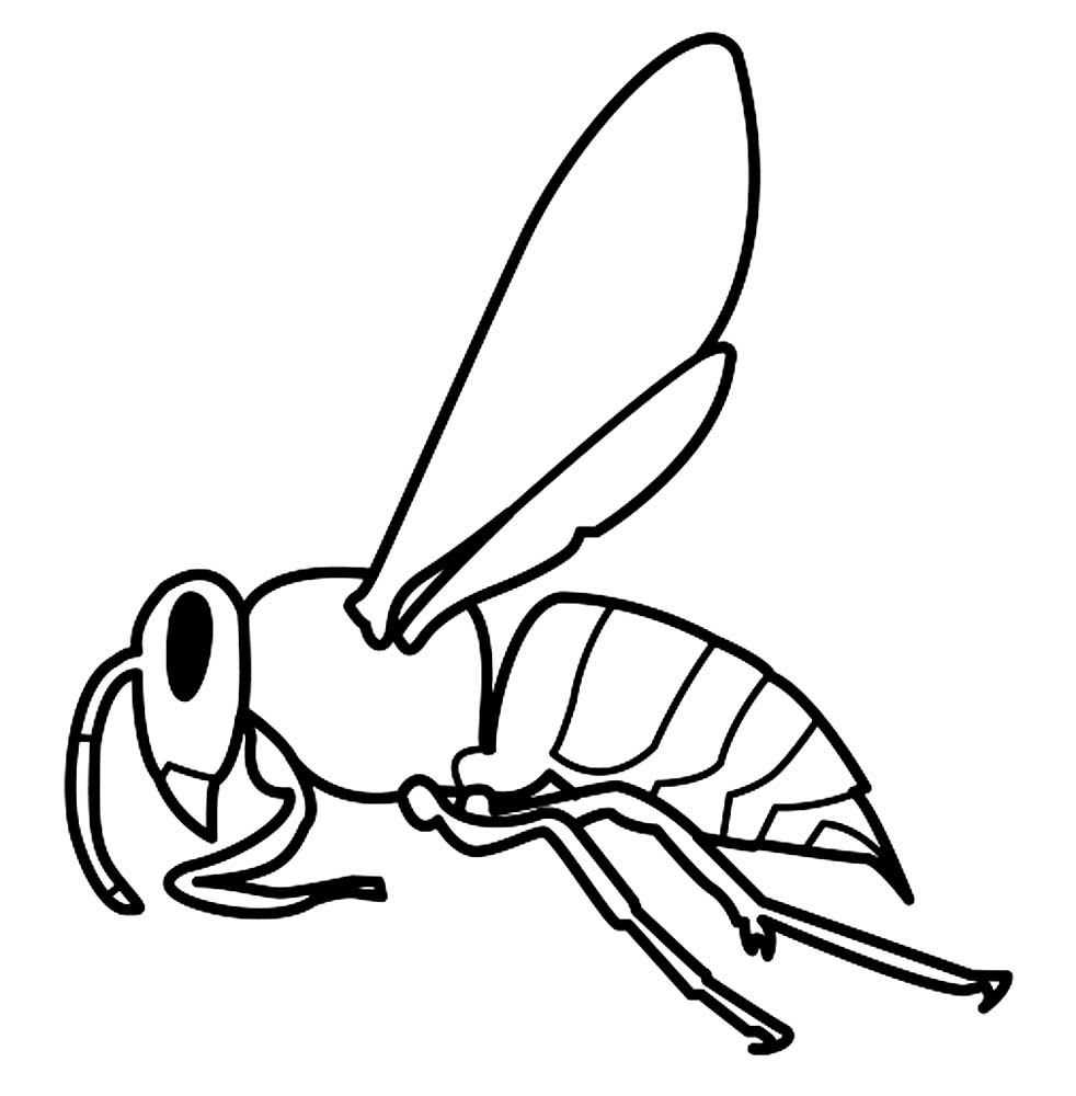 Красивые и прикольные картинки, рисунки осы для детей 3