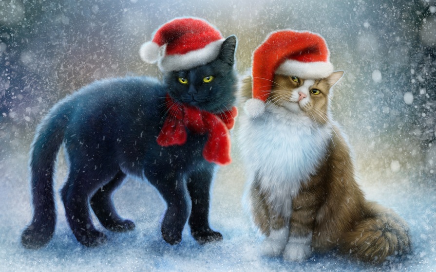 Красивые картинки котиков и кошек зимой в снег и Новый год 12