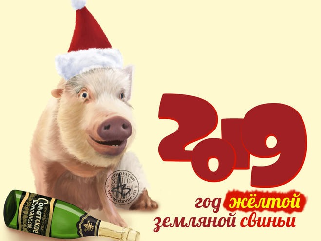 Новогодние открытки 2019 с изображением свиньи - поздравления 10