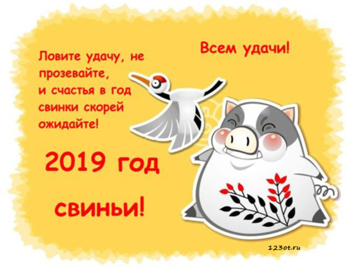 Новогодние открытки 2019 с изображением свиньи - поздравления 15