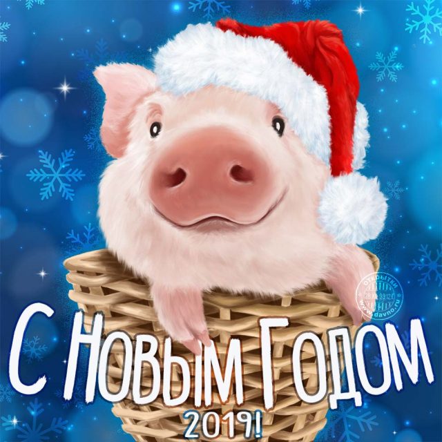 Новогодние открытки 2019 с изображением свиньи - поздравления 7