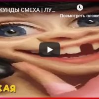 Подборка смешных и ржачных видео роликов за декабрь 2018 №154
