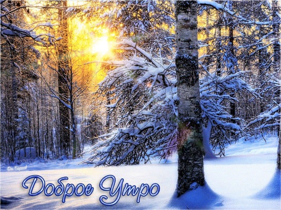 Самые красивые зимние картинки С Добрым Утром и Хорошего Дня 4