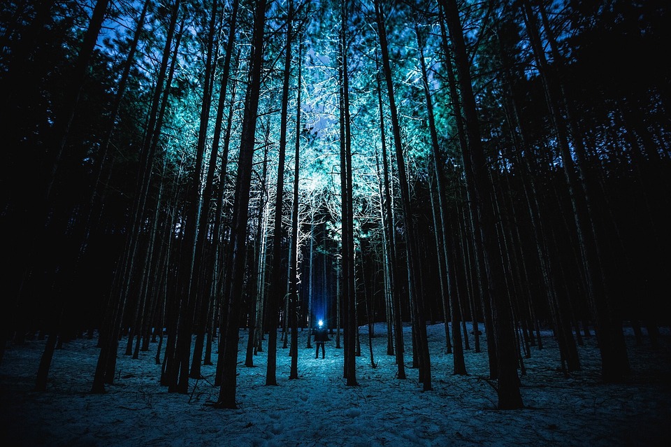 Зимняя ночь картинки красивые и удивительные - подборка 20 фото 14