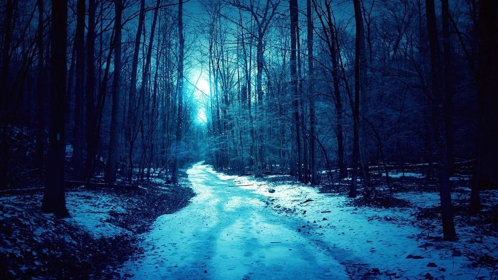 Зимняя ночь картинки красивые и удивительные - подборка 20 фото 18